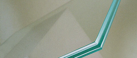 Pecho_paloma-480x205